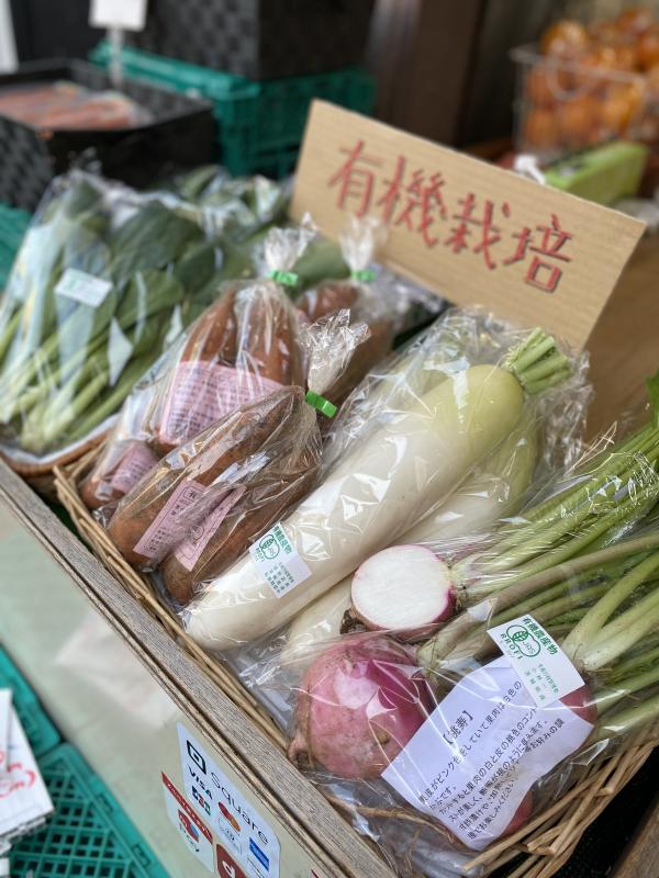 サンプル画像