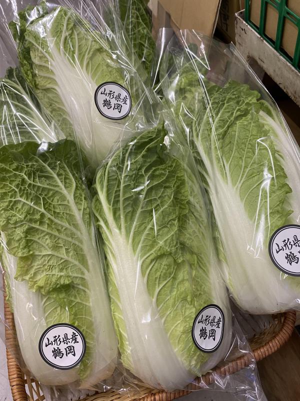 サンプル画像
